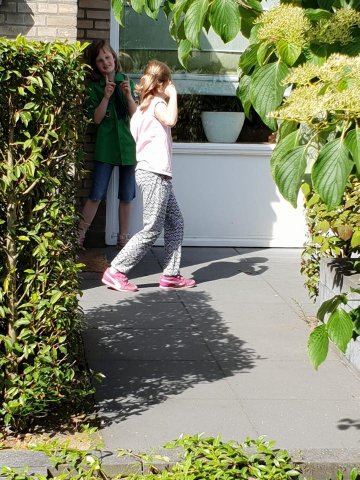 Zomer 2019