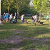 Zomer 2019