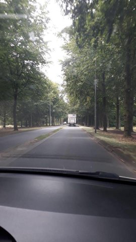 Zomerkamp 2019