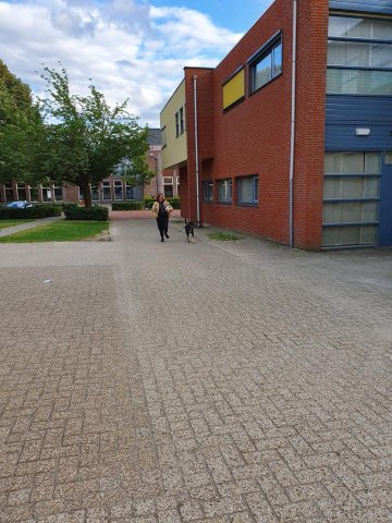 Zomerkamp 2019