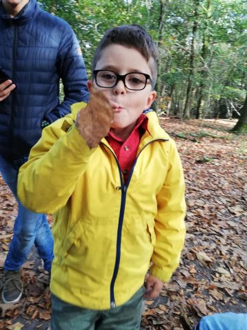 Herfst 2019