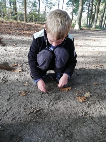 Herfst 2019