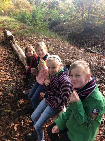 Herfst 2019