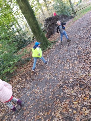 Herfst 2019
