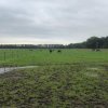 Herfst 2019