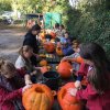 Herfst 2019