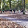 Herfst 2019